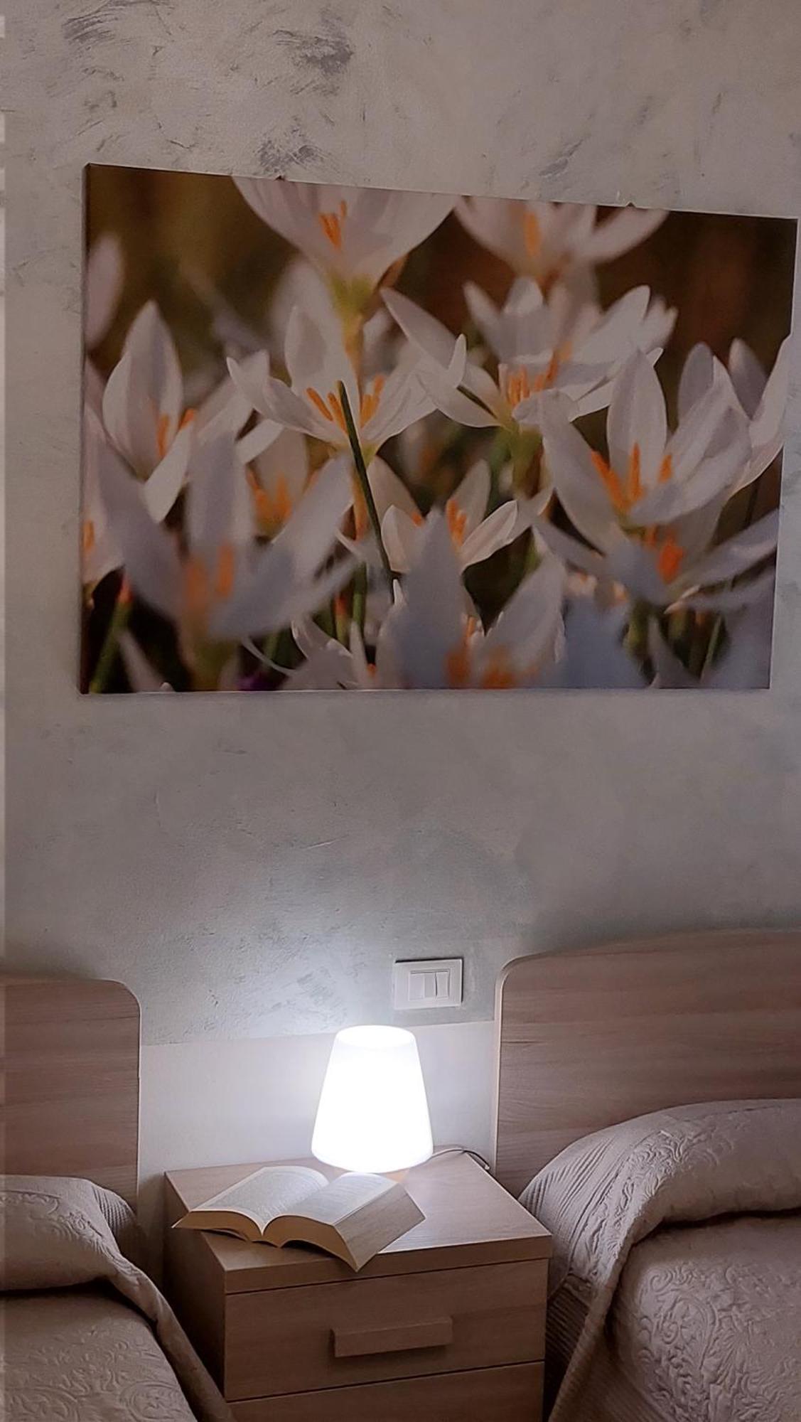 Apartment Magnolia